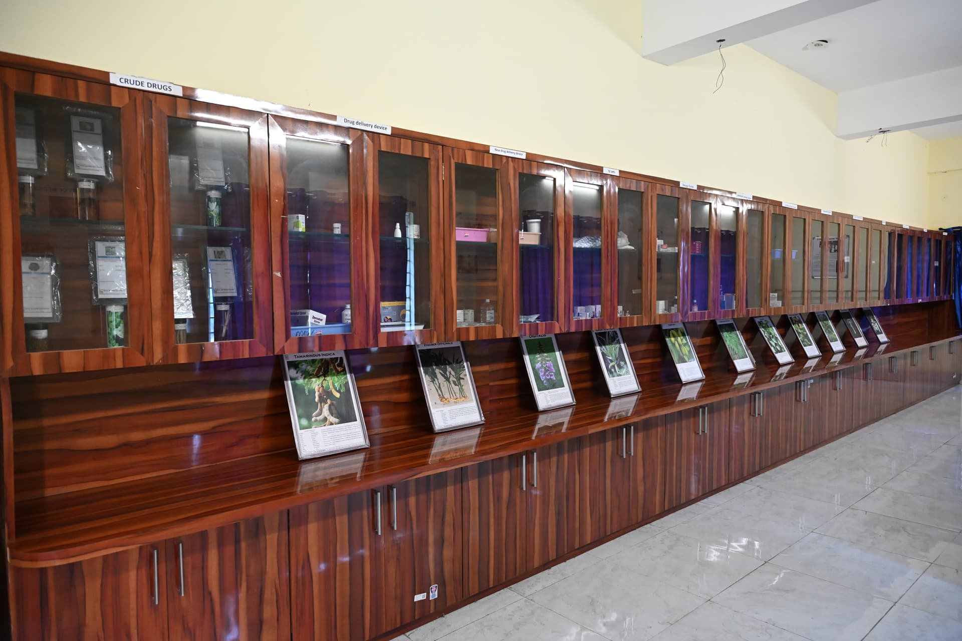 Museum 1