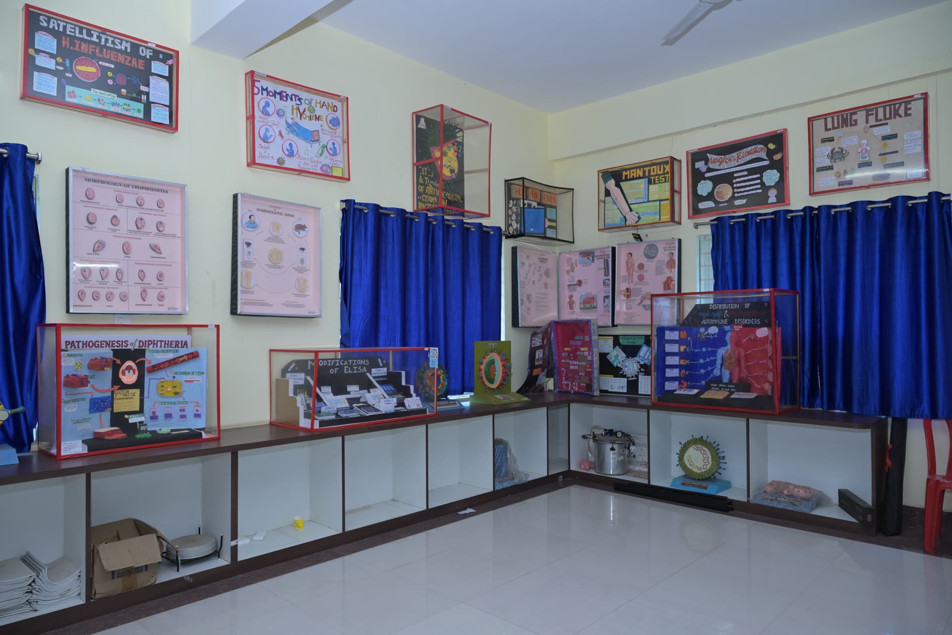 Museum 4